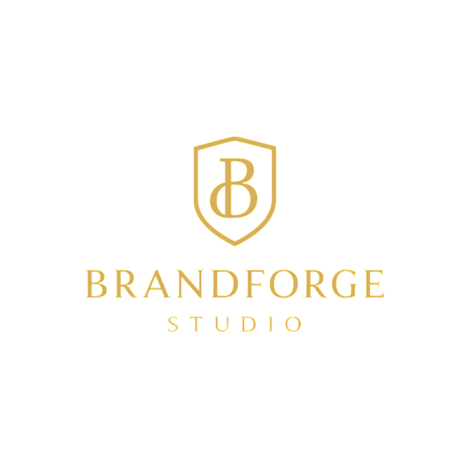 BrandForge Studio